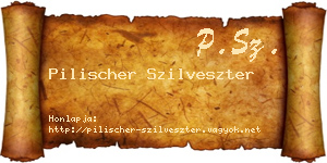 Pilischer Szilveszter névjegykártya